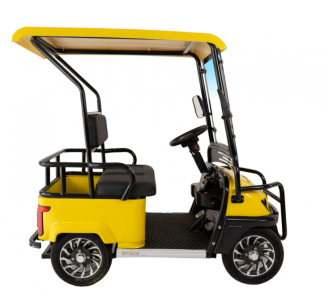 Гольфкар GreenCamel A2 ECO (2 seats 1000W R8) пониженная