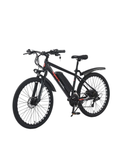 Электровелосипед Jetson TRIUMPH 36V/13Ah черный